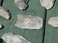 DSCN0473.webp