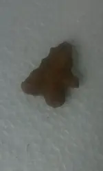 1567445508641.webp