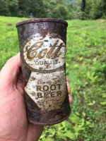 cott.webp