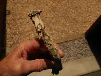 DSCN1521.webp