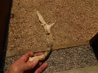 DSCN1522.webp