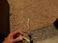 DSCN1523.webp