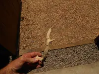DSCN1524.webp