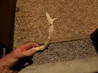 DSCN1525.webp