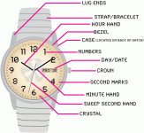 diagram-of-a-wristwatch.gif