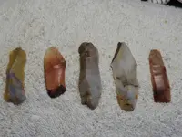 DSCN0429.webp