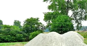 herron landing.webp