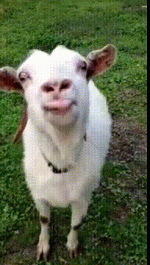 da2b581f67791799aecaa1f89742da1a.gif