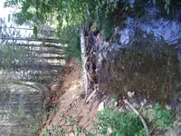 20190808_091854.webp