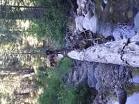 20190807_181648.webp