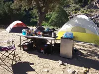 20190815_085556.webp