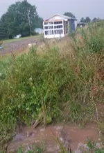 20190816_010755.webp