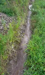 20190816_010654.webp