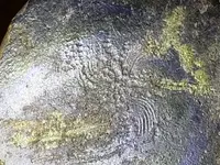 20190911_205942.webp
