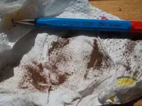 DSCN2394.webp