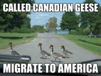 Funny-Canada-Meme-2.jpg