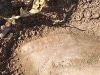 Shoe1.webp