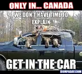 Funny-Only-In-Pictures-Canada.webp Funny-Only-In-Pictures-Canada.webp