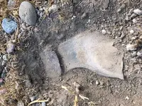 Shoe2.webp