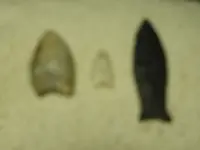 DSCN0440.webp