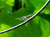 K1600_DSCN6851.webp