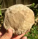 BigHammerstone-(1).webp