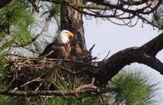 DSCN0610.webp