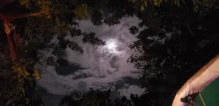20190812_215002.webp