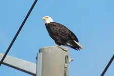 DSCN0668.webp