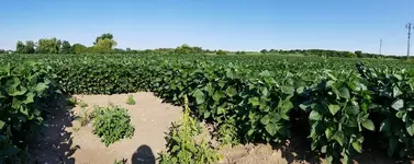 20190804_193324.webp