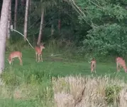 20190718_204441.webp