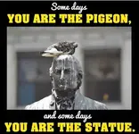 PIGEON.webp