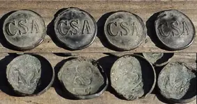 Temp CSA Buttons.webp