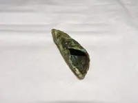 DSCN7436.webp