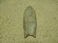 DSCN0447.webp
