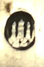 Spoon4.webp