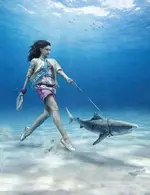 1c5b1978f19c694b46bedb99f2ff9d1e.webp