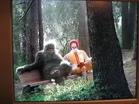 bigfoot2.webp