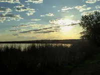 walk 090219 1.webp
