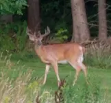 20190726_201335.webp