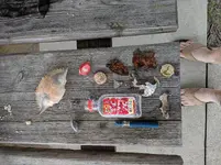 IMG_20190803_094852.webp