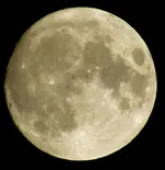 12th moon 013.webp
