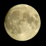12th moon 006.webp