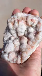 20190903_085419.webp