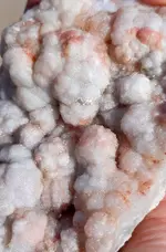 20190903_085818.webp