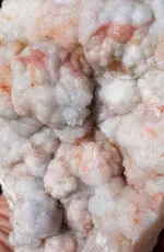 20190903_085728.webp
