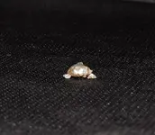 1566033982_dscn4341.webp