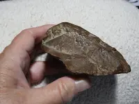 DSCN0449.webp