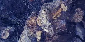 20190831_184806.webp