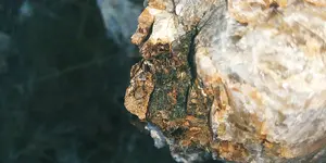 20190831_184432.webp